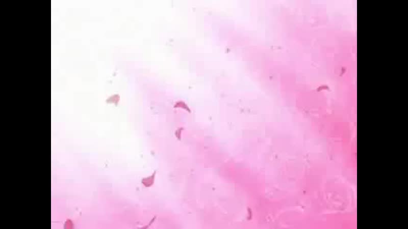 Клуб свиданий старшей школы Оран, Ouran High School Host Club 13