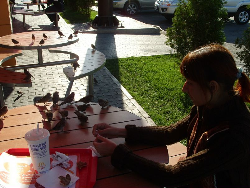 №187, Shana Sensei, Самара №187, Shana Sensei, Самара