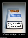Фотография Латышева Ивана