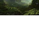 №125, Dana Migali, 30 лет, Ужгород №125, Dana Migali, 30 лет, Ужгород