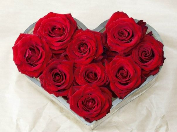 №93, Juliette Lints №93, Juliette Lints