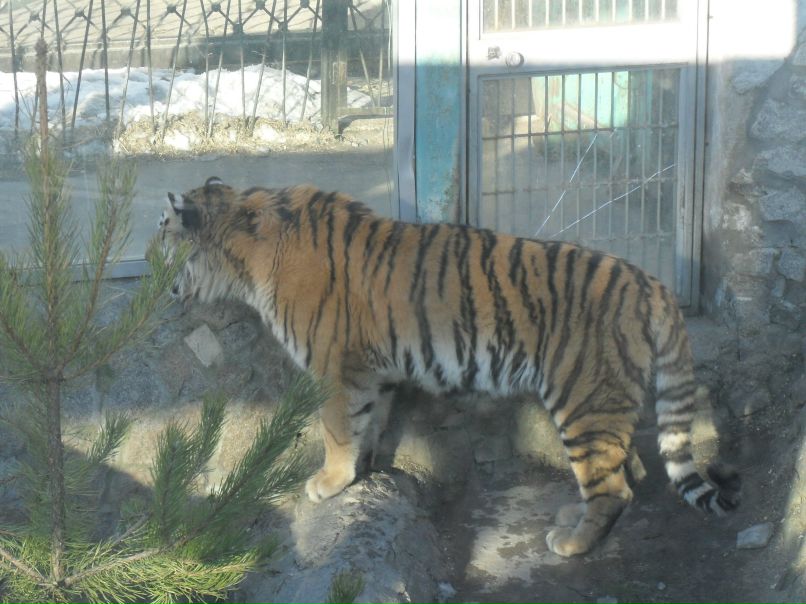 Григорий Войленко | Санкт-Петербург
