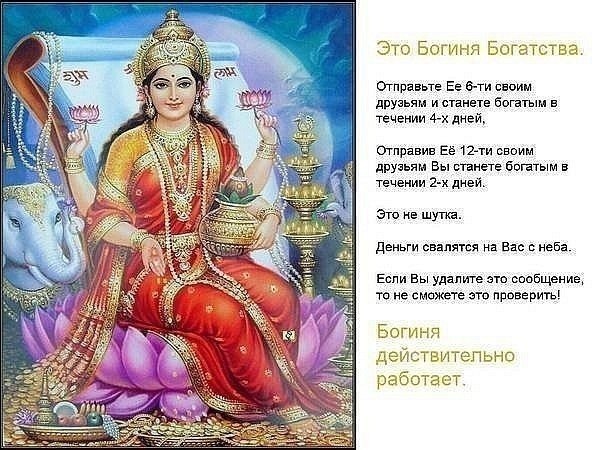 Елена Столетова | Новоаннинский