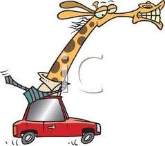 №3, Анастасия Лапуцько, 39 лет, Visaginas №3, Анастасия Лапуцько, 39 лет, Visaginas