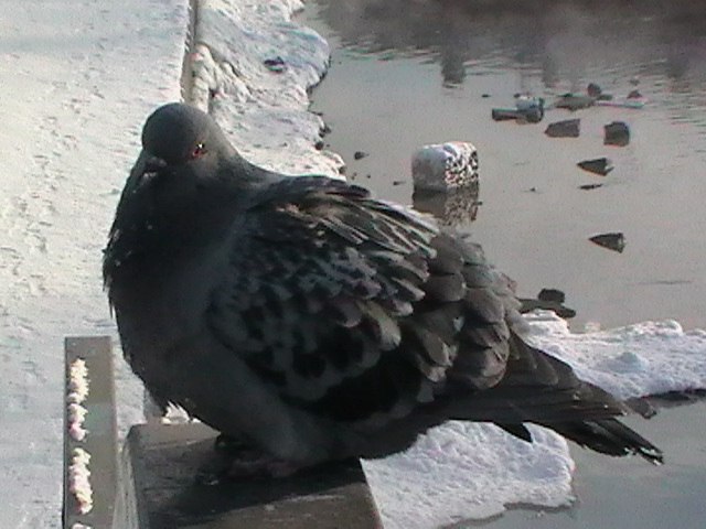 Максим Котов | Екатеринбург