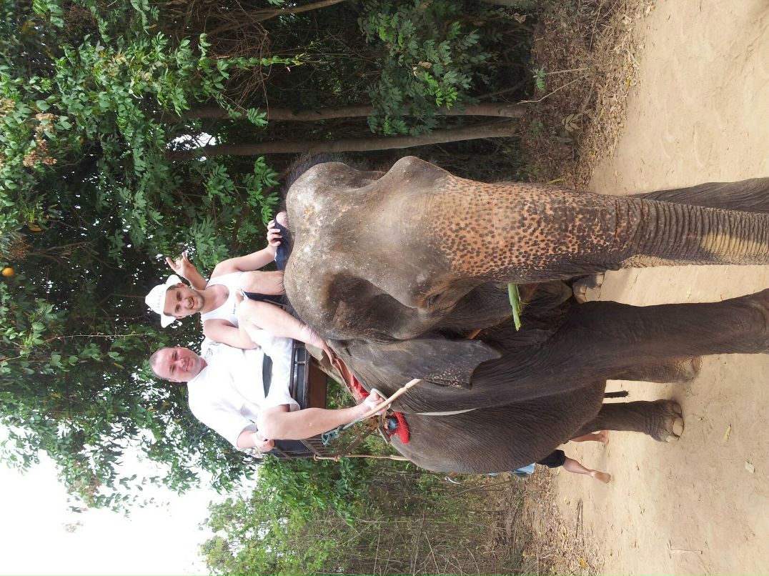 Александр Никитин ELeSTraGo | Чебоксары