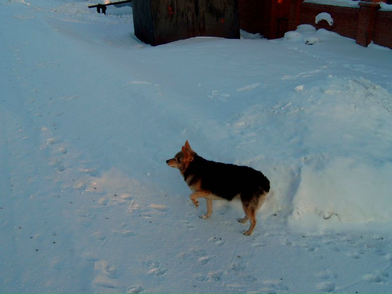 Olga Odintsova ViP-------=- | Красноярск