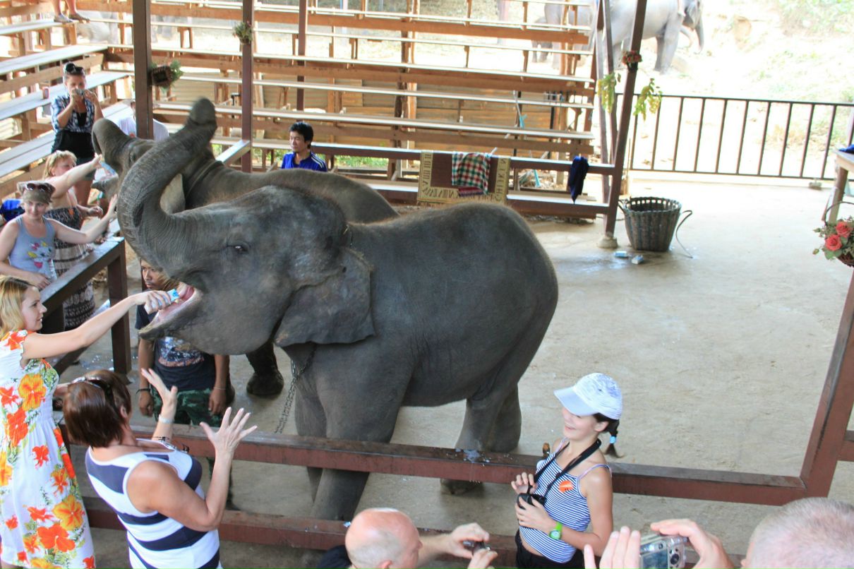 Ирина Паславичуте | Санкт-Петербург