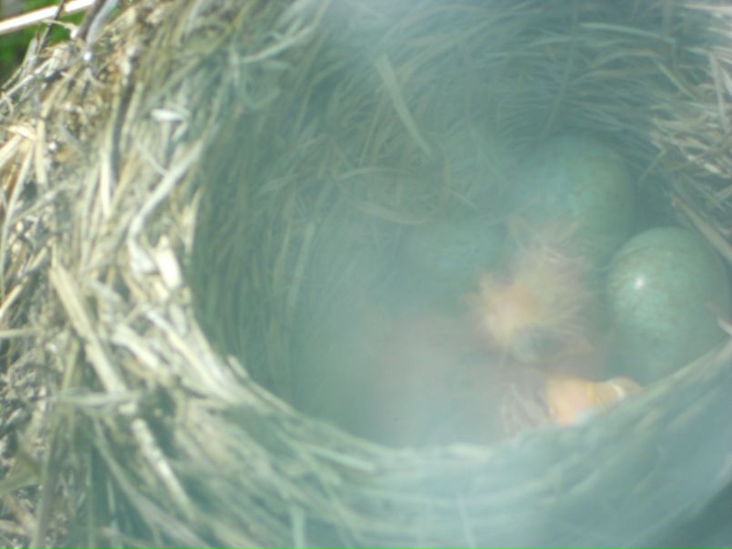 №32, Анна Минейкина, 32 года, Дилижан №32, Анна Минейкина, 32 года, Дилижан