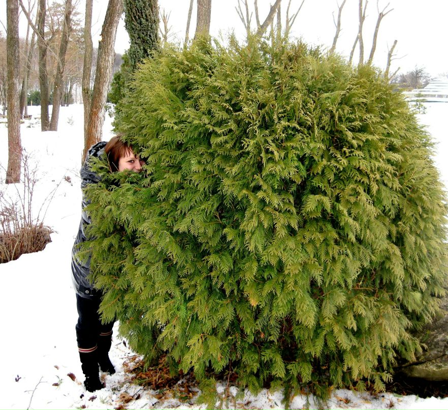 Юлия Глущенко | Кривой Рог
