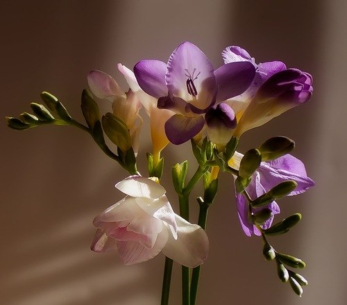 Юлия Куликова | Санкт-Петербург