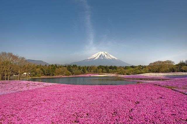 Iulia Pimanova | Новосибирск