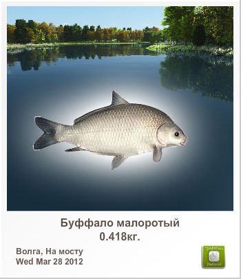 Олександр Кривоносюк | 