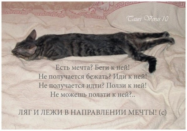 №158, Инна Лиховид, Одесса №158, Инна Лиховид, Одесса