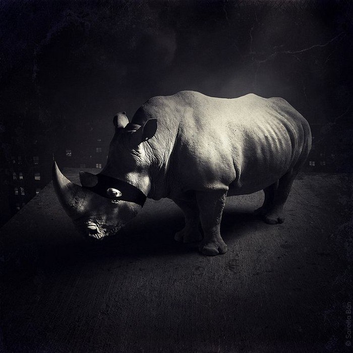 Роман Рябкин | Санкт-Петербург