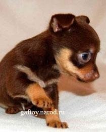 Екатерина Сотникова | Пенза