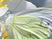 Инна Алексейчук | Минск