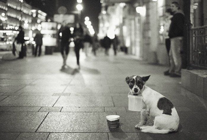 Дмитрий Сысоев | Воронеж