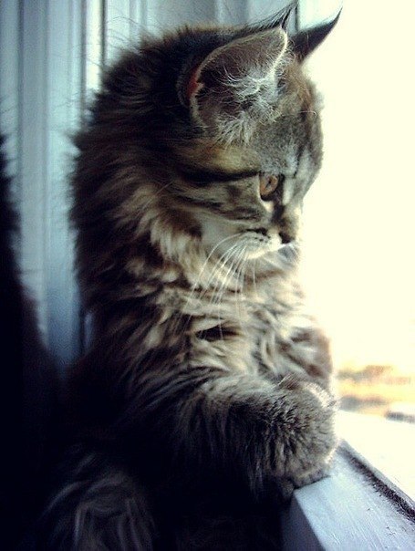 Анастасия Кожокарь | Нижневартовск