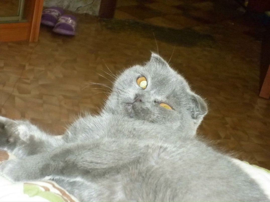 Евгения Латышева | Омск