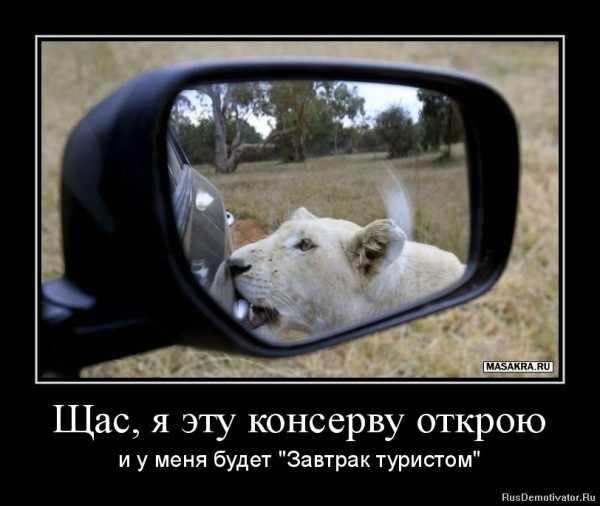 Анна Шустак | 