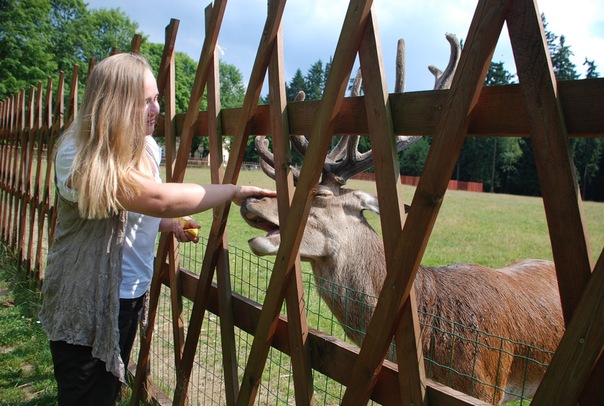 №2, Lada Lada №2, Lada Lada