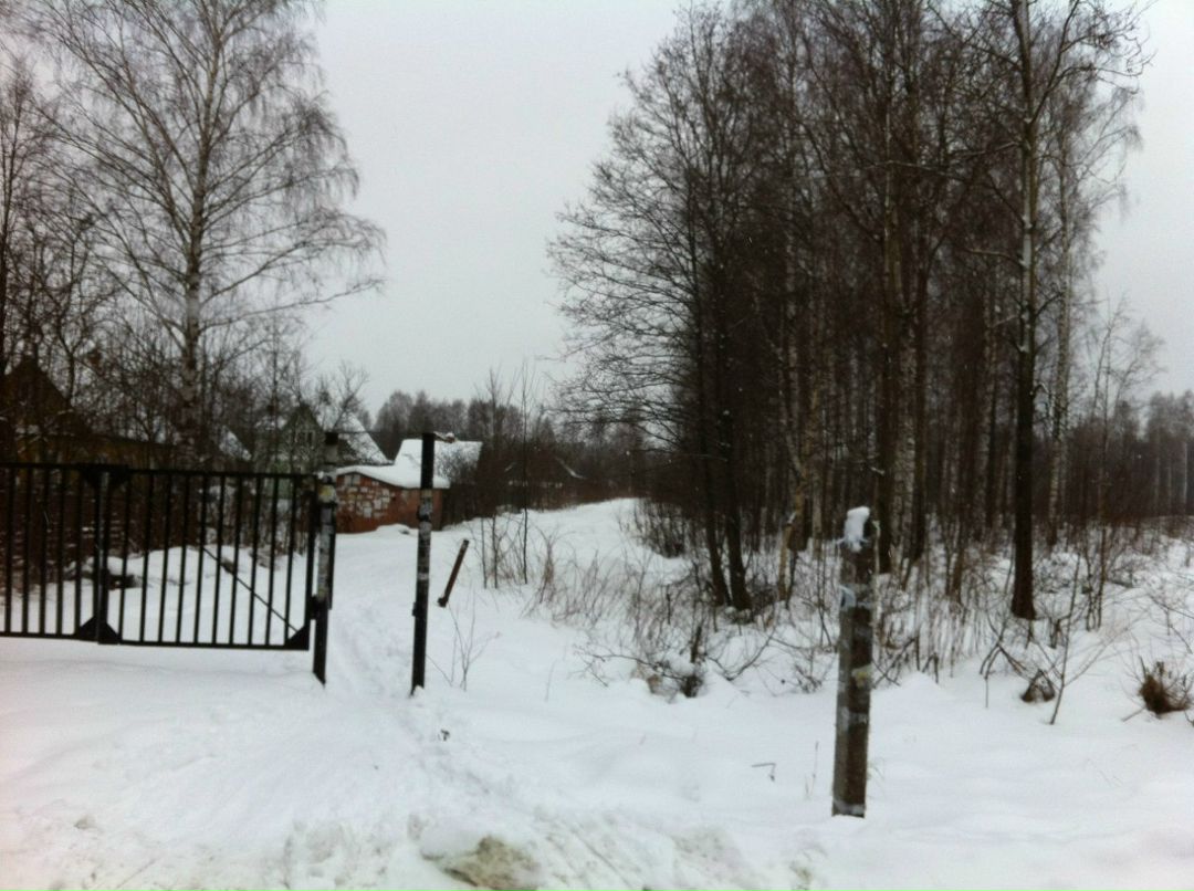 Ярослав Ягель | Санкт-Петербург