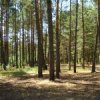 Аватар: Катана Катановна