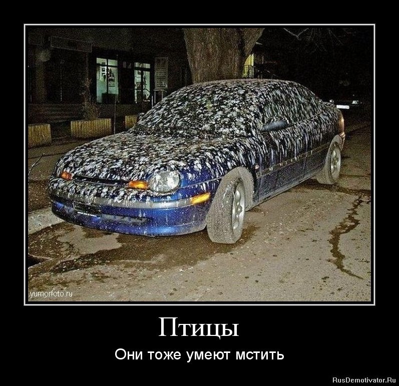 Дмитрий Дроздов -=EJI-CTAJIb=- | Электросталь