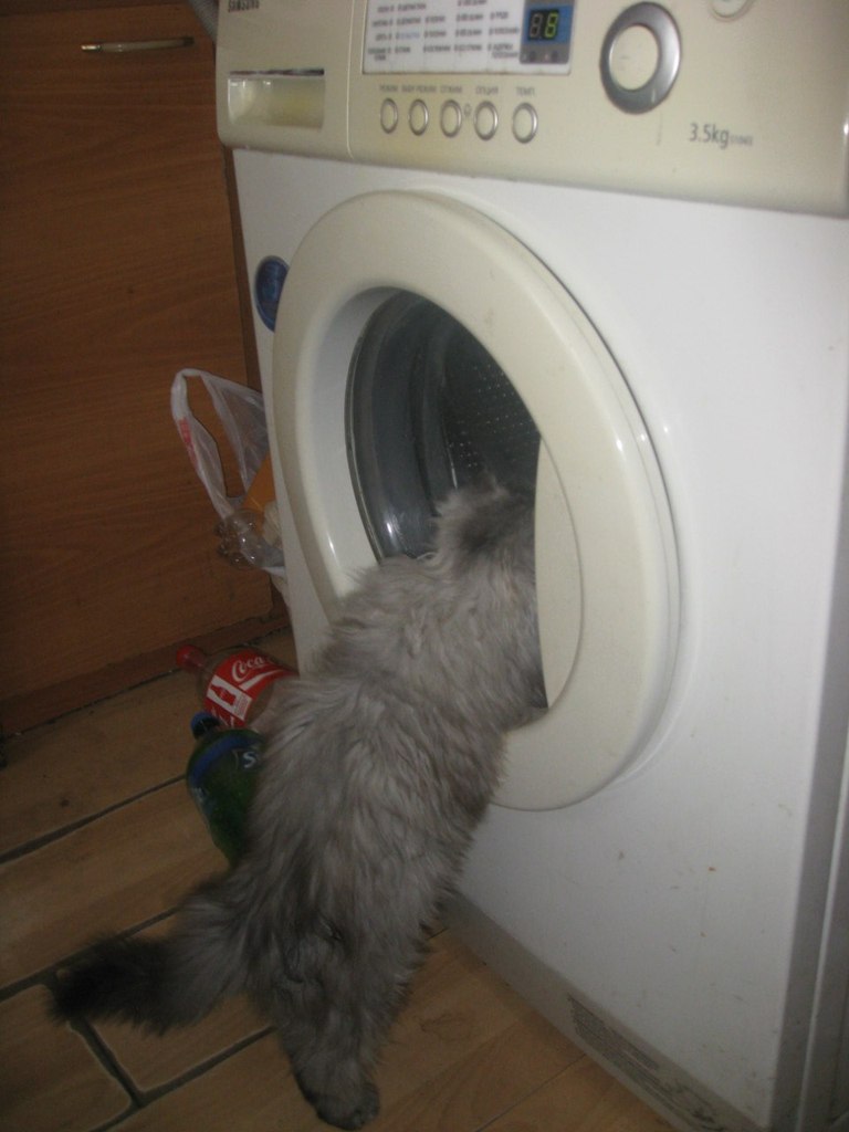 Александр Секисов | Санкт-Петербург