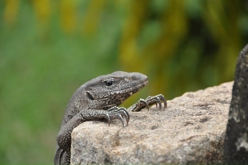 Владимир Уткин | Санкт-Петербург