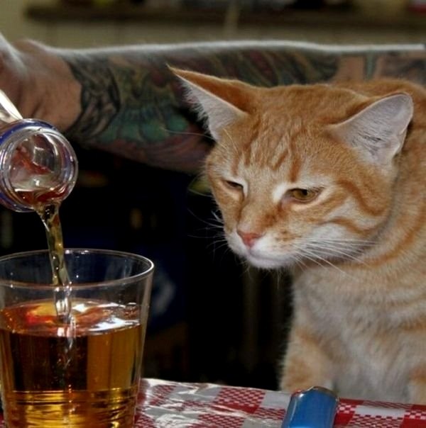 Серёга Тымусяк ☆ Cr@sh ☆ | Винница