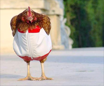 №54, Катя Фисун, Запорожье №54, Катя Фисун, Запорожье