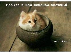 №113, Екатерина Терехова, Калуга №113, Екатерина Терехова, Калуга