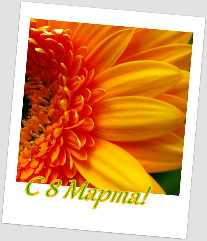 Андрей Шустов | Praha