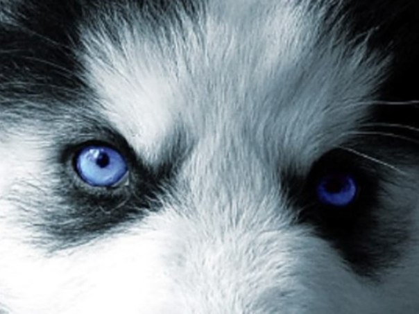 Коля Римчук СalliduS | Ивано-Франковск