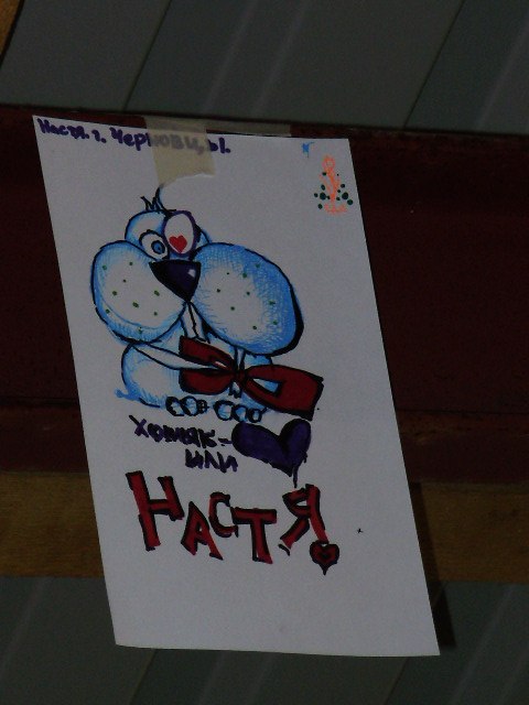 Настя Монастырная | 