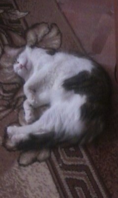 Светлана Мирошник | Казань