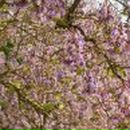 Анинка Анинка | Запорожье