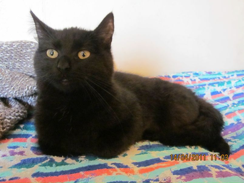 №60, Татьяна Волкова №60, Татьяна Волкова