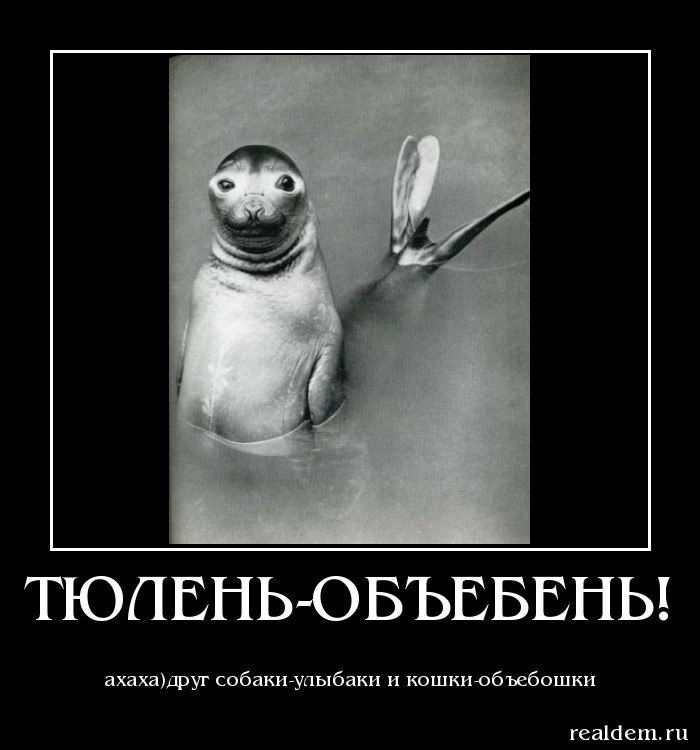 Olchi Koschka | Днепр (Днепропетровск)