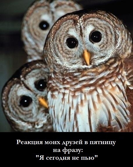 №36, Сергей Ситкевич, Гродно, Беларусь №36, Сергей Ситкевич, Гродно, Беларусь