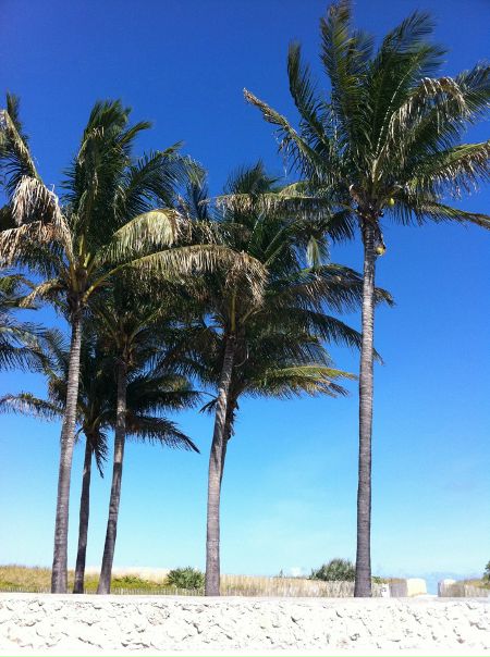 №57, Руслан Якубов, 42 года, Тюмень, Россия №57, Руслан Якубов, 42 года, Тюмень, Россия