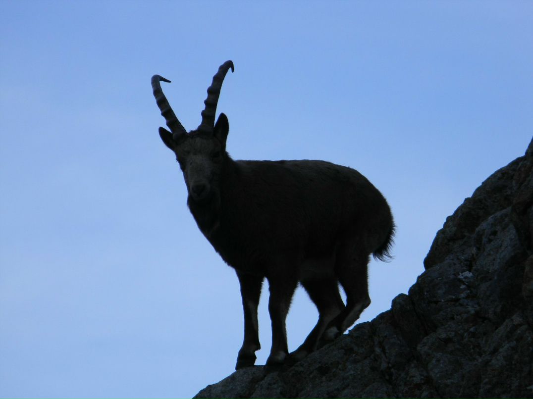 Паша Цветов | 