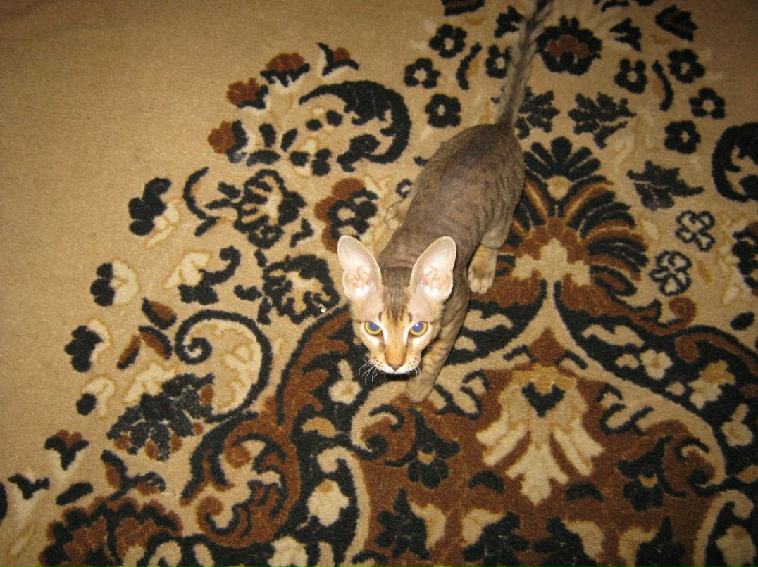 Наталья Загуляева | 