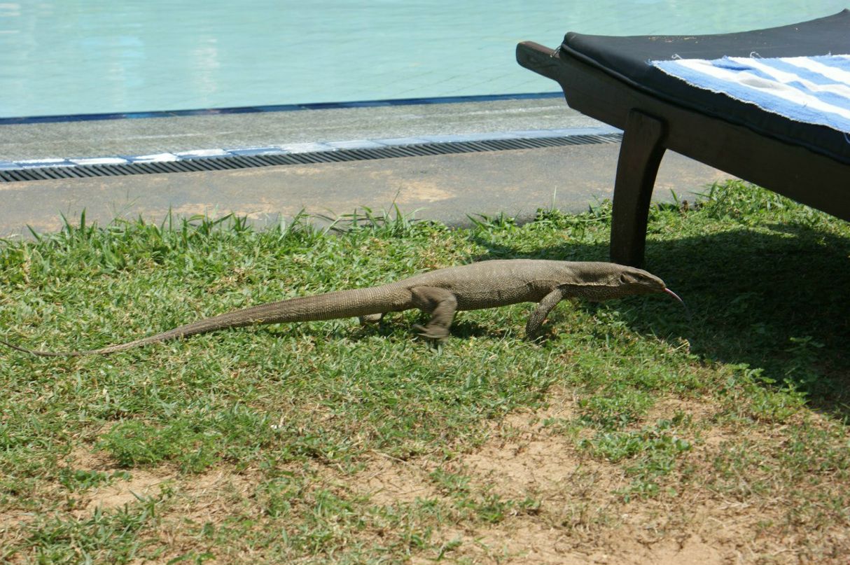 Светлана Байкова | Северодвинск