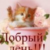 Аватар: Лерочка Сандал
