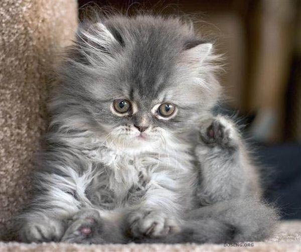 №125, Вика Матвиива, Санкт-Петербург, Россия №125, Вика Матвиива, Санкт-Петербург, Россия