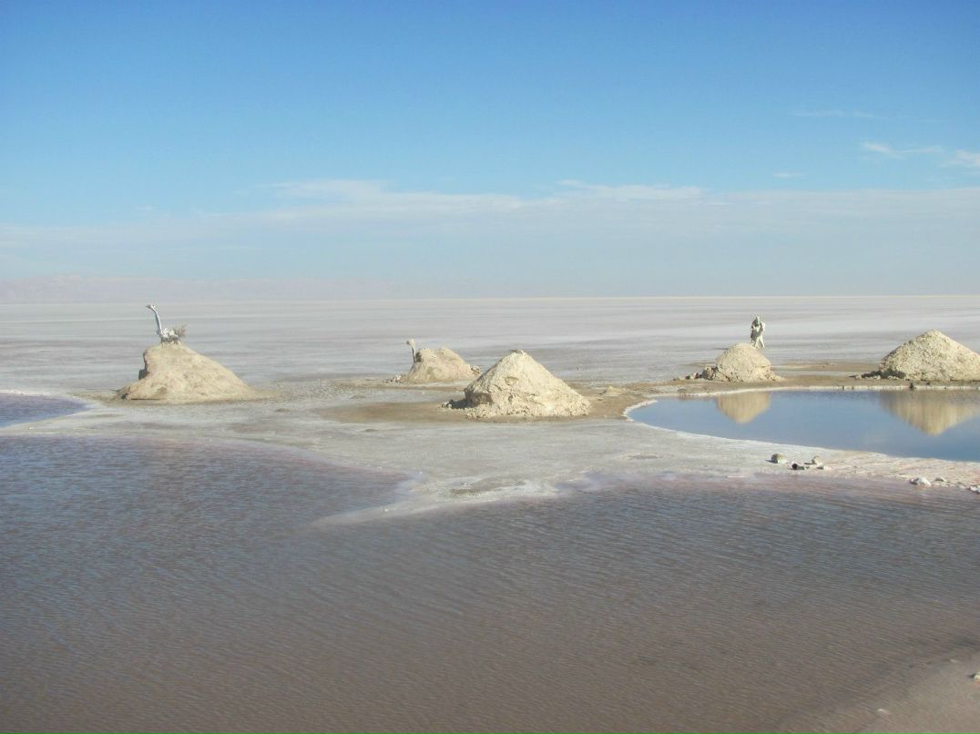 Виктор Ведехин | Санкт-Петербург