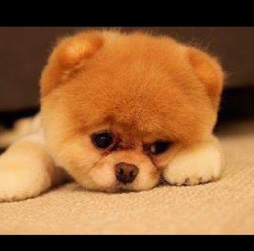 Даша Пыльник | Киев